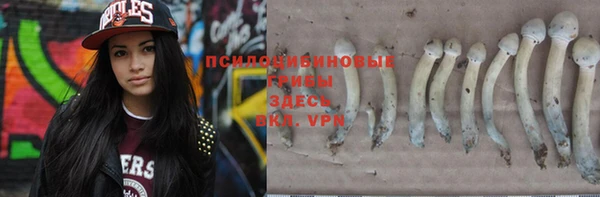 мдпв Лабытнанги