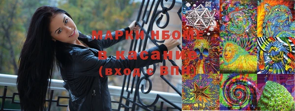 хмурый Лагань