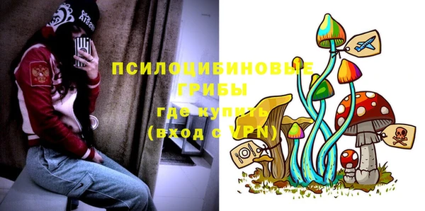 хмурый Лагань