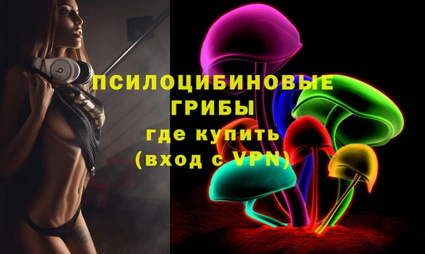хмурый Лагань